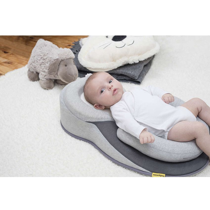 Babymoov Cale Bebe Cosydream Gris Beige Plans Inclines Et Oreillers Sommeil Orchestra